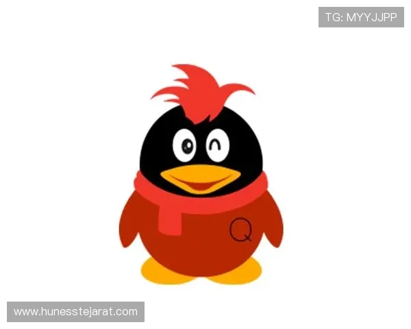 ag贵宾厅会员登录入口，快速便捷的会员登录指南与操作流程详解