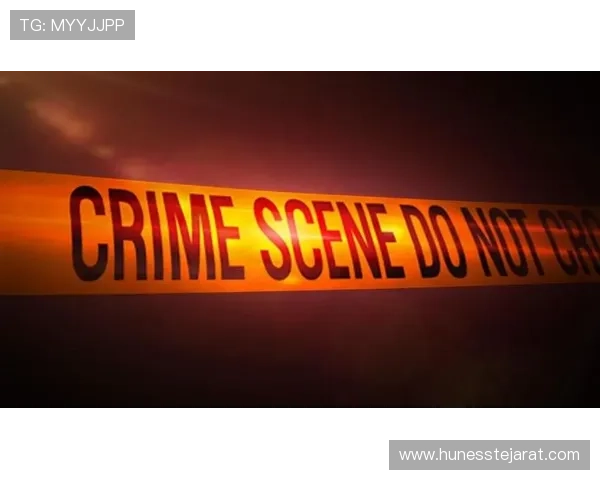 ased视讯竟眯厅不断创新科技，为用户提供全方位的娱乐解决方案