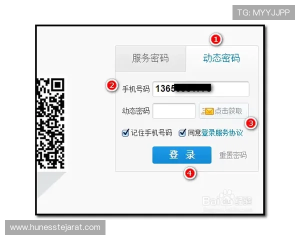 bob真人会员登录后如何查看游戏记录与账户余额