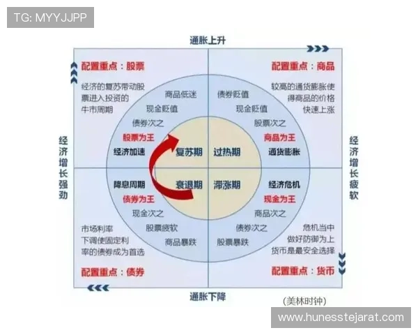 全面解析真人现金官方方法实现稳定盈利的实用策略与步骤